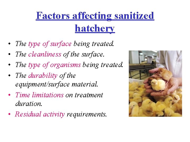 Factors affecting sanitized hatchery • • The type of surface being treated. The cleanliness