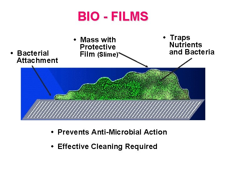 BIO - FILMS • Bacterial Attachment • Mass with Protective Film (Slime) • Traps