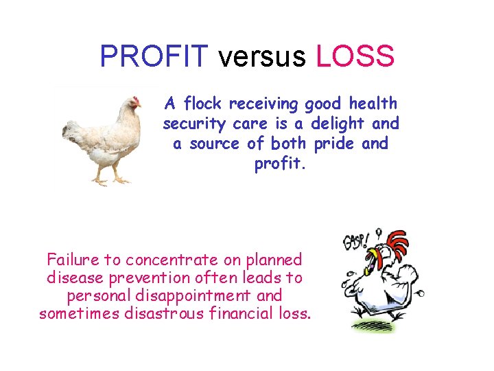 PROFIT versus LOSS • A flock receiving good health security care is a delight