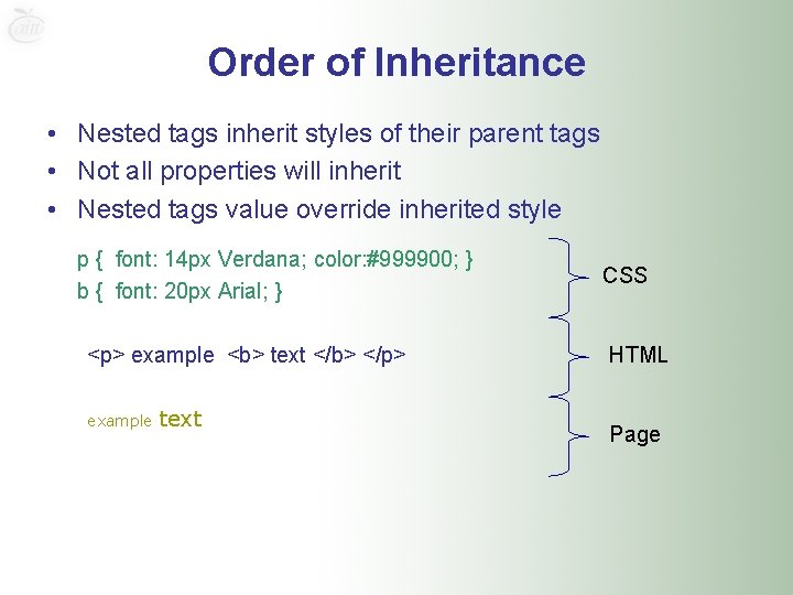 Order of Inheritance • Nested tags inherit styles of their parent tags • Not