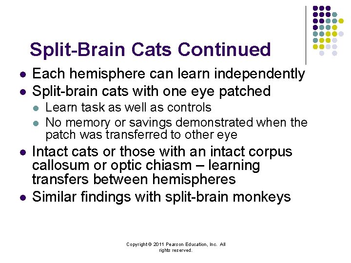 Split-Brain Cats Continued l l Each hemisphere can learn independently Split-brain cats with one
