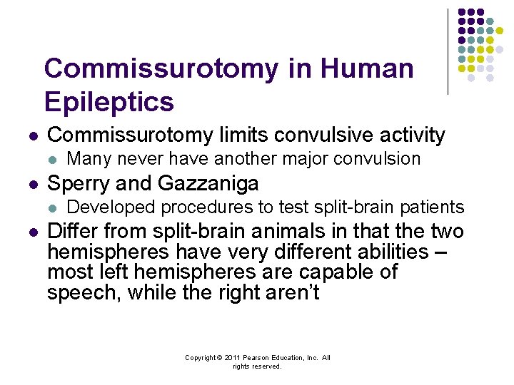 Commissurotomy in Human Epileptics l Commissurotomy limits convulsive activity l l Sperry and Gazzaniga