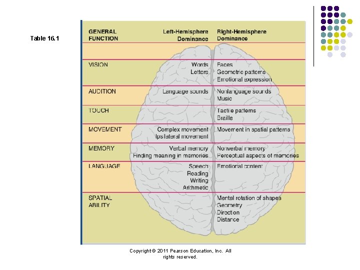 Table 16. 1 Copyright © 2011 Pearson Education, Inc. All rights reserved. 