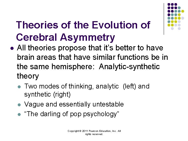 Theories of the Evolution of Cerebral Asymmetry l All theories propose that it’s better