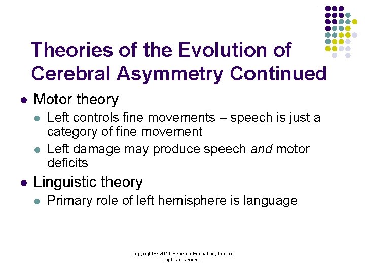 Theories of the Evolution of Cerebral Asymmetry Continued l Motor theory l l l