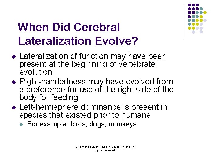 When Did Cerebral Lateralization Evolve? l l l Lateralization of function may have been