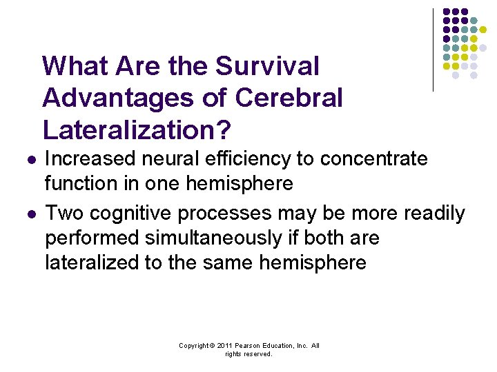 What Are the Survival Advantages of Cerebral Lateralization? l l Increased neural efficiency to