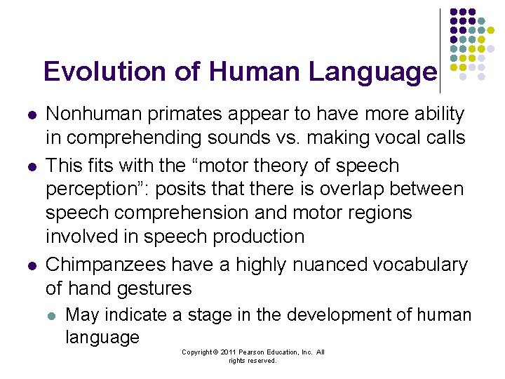 Evolution of Human Language l l l Nonhuman primates appear to have more ability