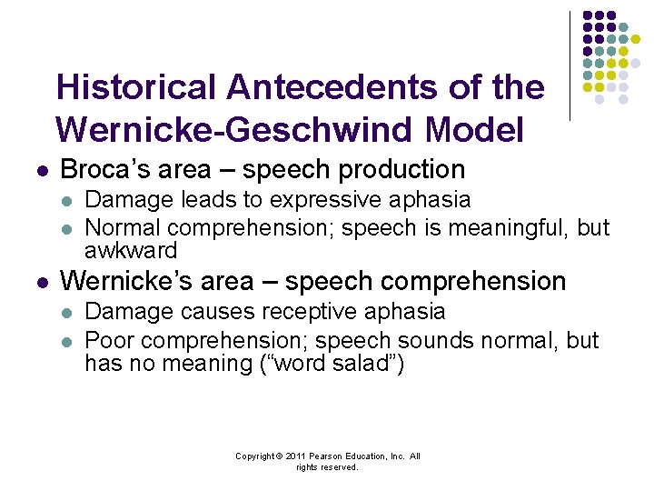 Historical Antecedents of the Wernicke-Geschwind Model l Broca’s area – speech production l l