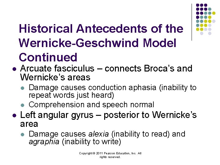 Historical Antecedents of the Wernicke-Geschwind Model Continued l Arcuate fasciculus – connects Broca’s and