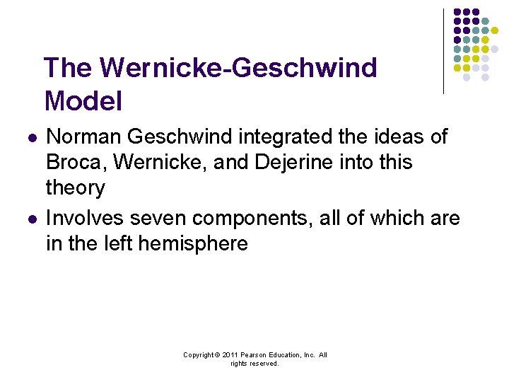 The Wernicke-Geschwind Model l l Norman Geschwind integrated the ideas of Broca, Wernicke, and