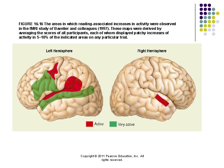 FIGURE 16. 16 The areas in which reading-associated increases in activity were observed in