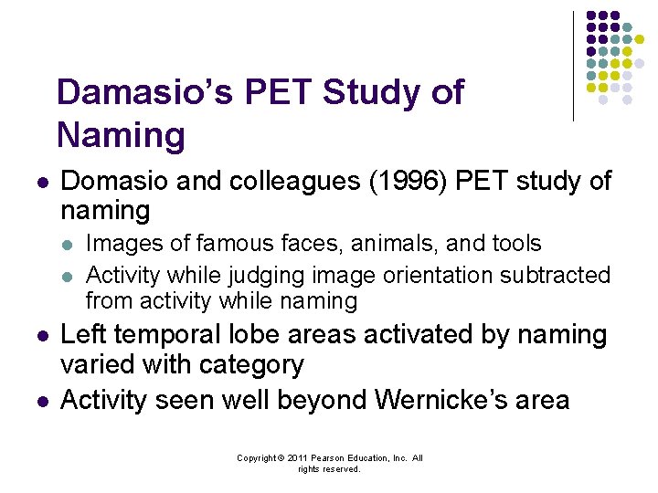 Damasio’s PET Study of Naming l Domasio and colleagues (1996) PET study of naming