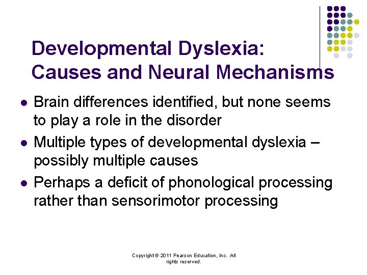 Developmental Dyslexia: Causes and Neural Mechanisms l l l Brain differences identified, but none