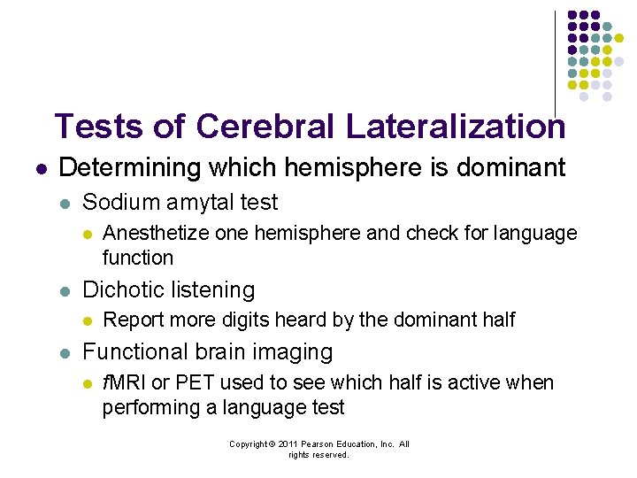 Tests of Cerebral Lateralization l Determining which hemisphere is dominant l Sodium amytal test