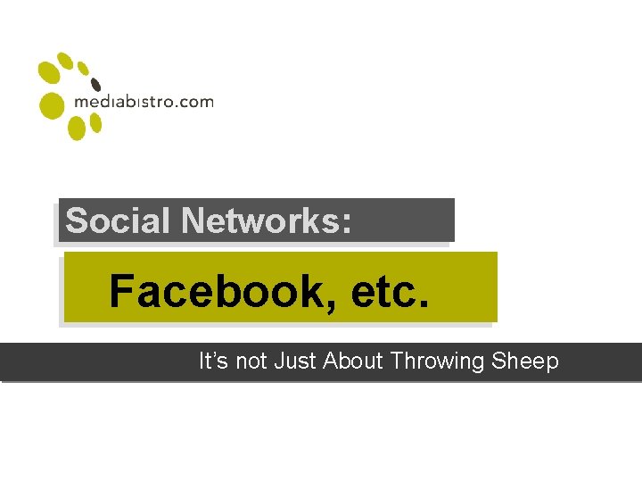 Social Networks: Facebook, etc. It’s not Just About Throwing Sheep 
