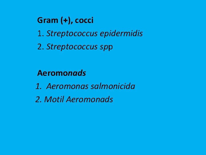 Gram (+), cocci 1. Streptococcus epidermidis 2. Streptococcus spp Aeromonads 1. Aeromonas salmonicida 2.