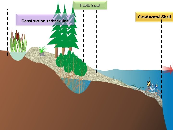 Public Sand Construction setback line Continental Shelf 