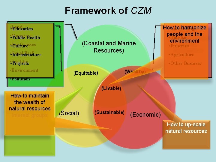Framework of CZM • • Land Education • • Mangrove Public Health • •