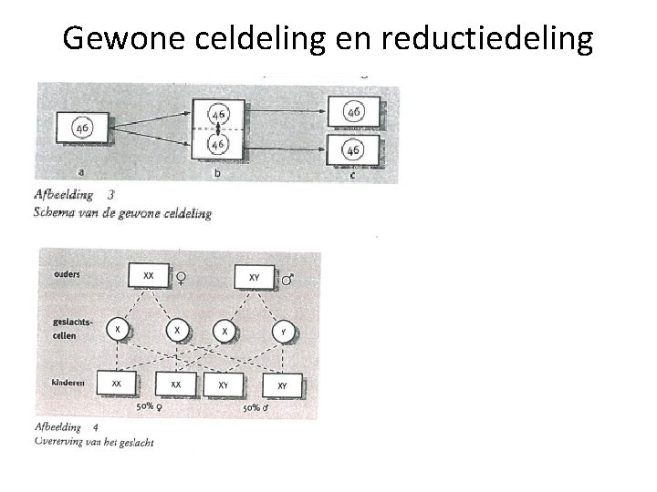 Gewone celdeling en reductiedeling 