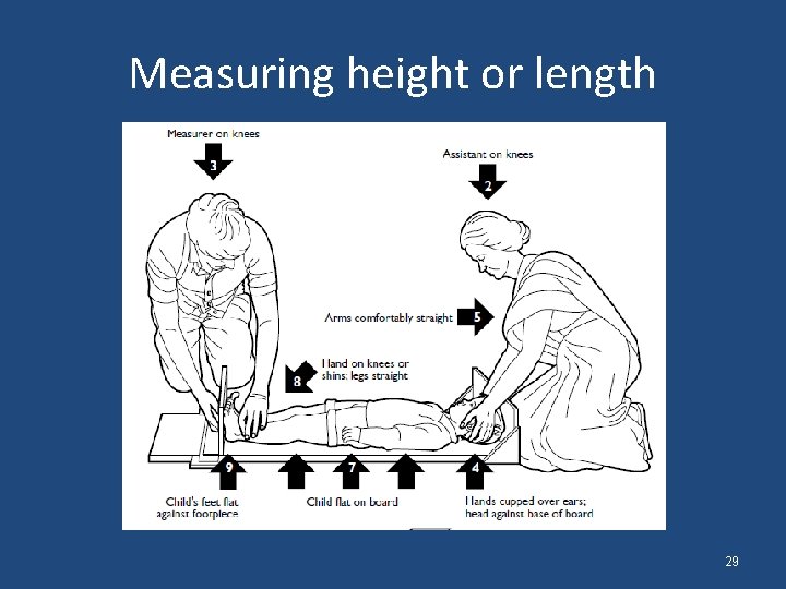 Measuring height or length 29 