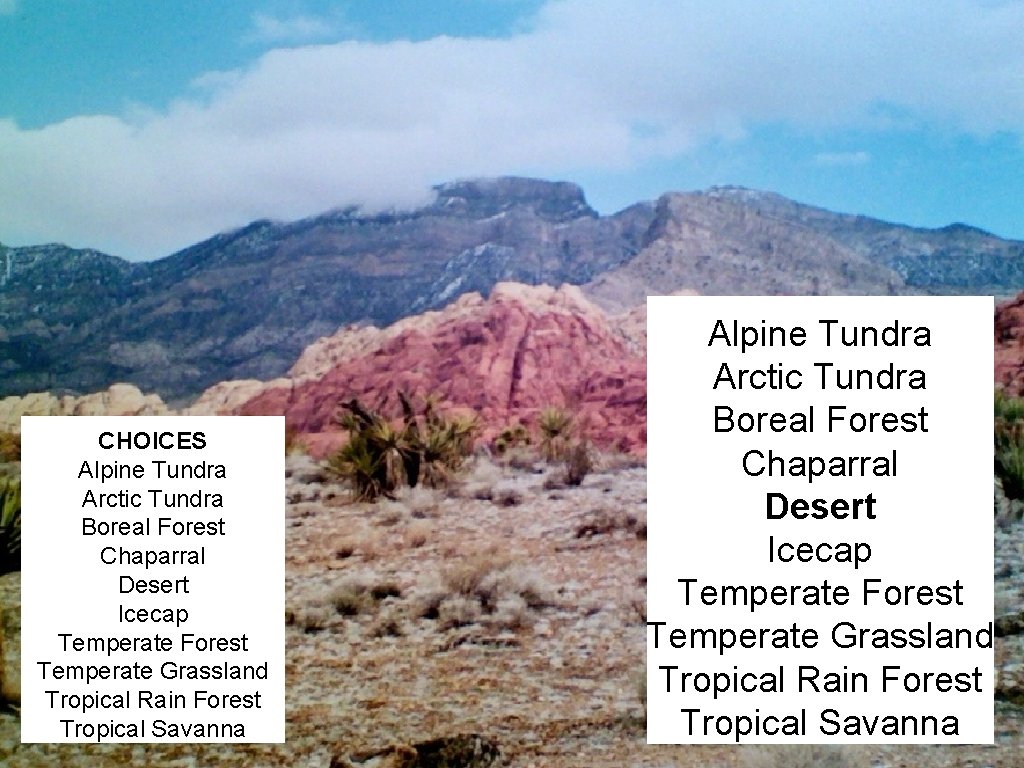 CHOICES Alpine Tundra Arctic Tundra Boreal Forest Chaparral Desert Icecap Temperate Forest Temperate Grassland