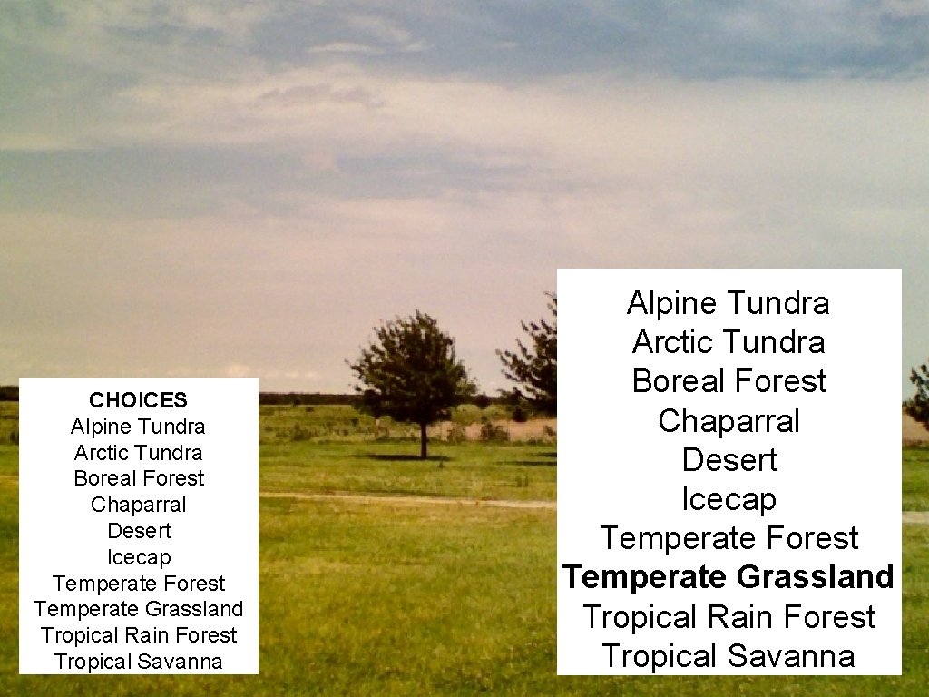 CHOICES Alpine Tundra Arctic Tundra Boreal Forest Chaparral Desert Icecap Temperate Forest Temperate Grassland