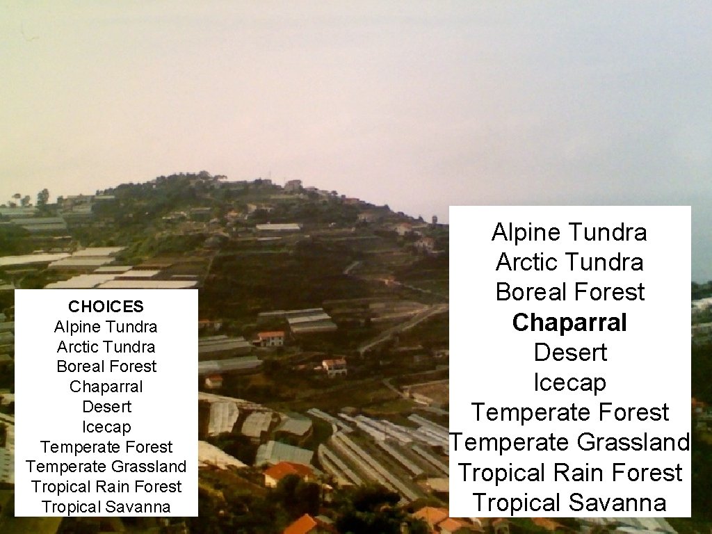 CHOICES Alpine Tundra Arctic Tundra Boreal Forest Chaparral Desert Icecap Temperate Forest Temperate Grassland