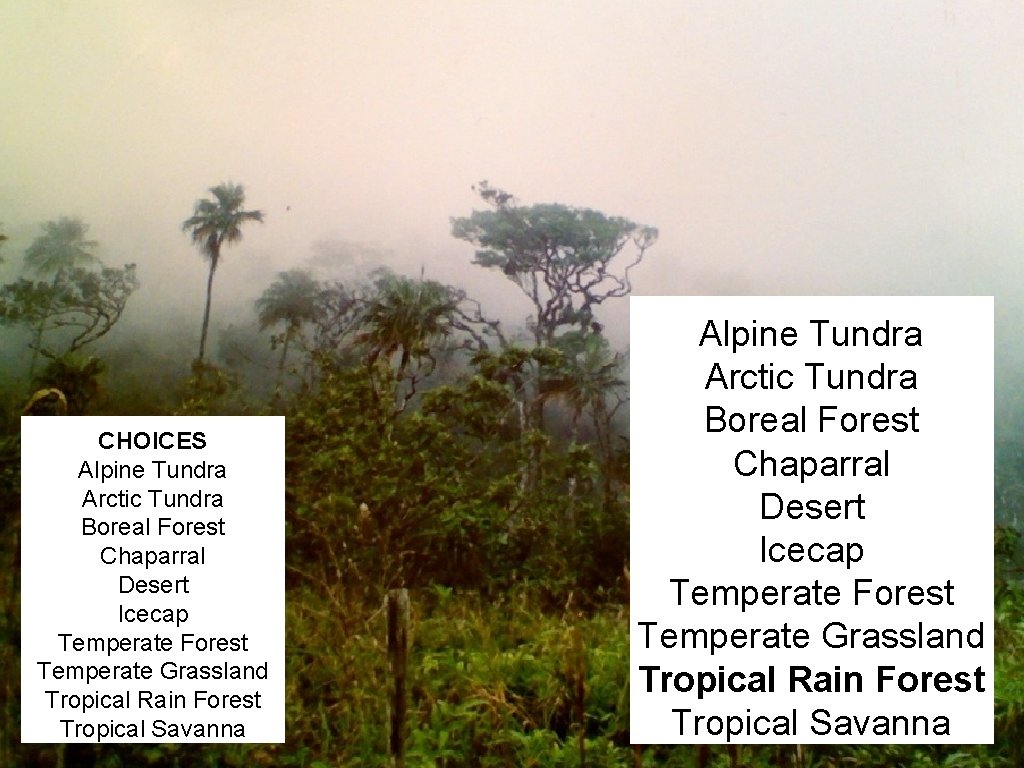 CHOICES Alpine Tundra Arctic Tundra Boreal Forest Chaparral Desert Icecap Temperate Forest Temperate Grassland