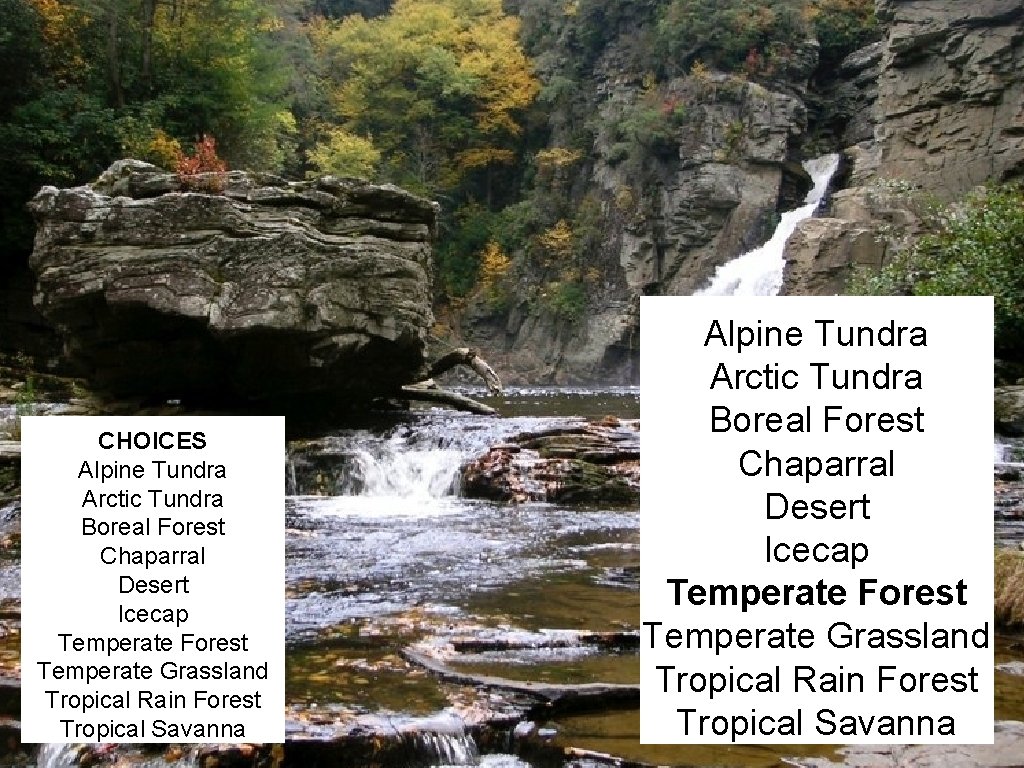 CHOICES Alpine Tundra Arctic Tundra Boreal Forest Chaparral Desert Icecap Temperate Forest Temperate Grassland