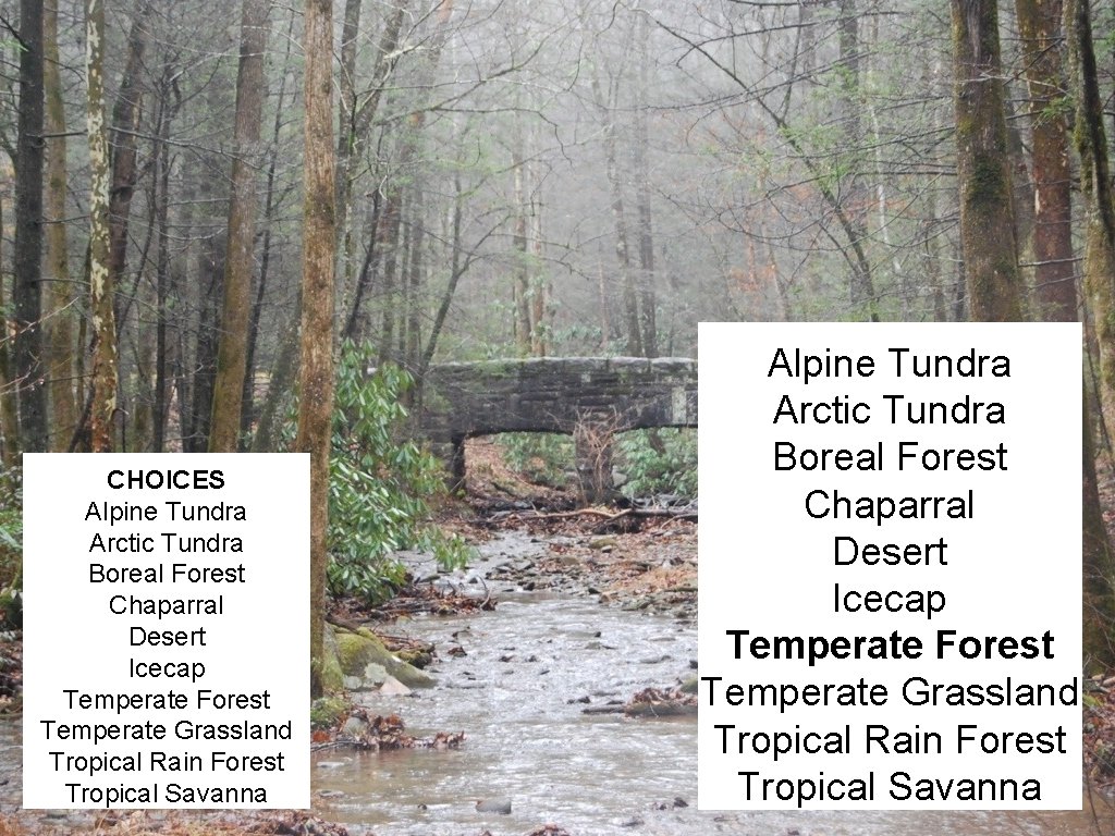 CHOICES Alpine Tundra Arctic Tundra Boreal Forest Chaparral Desert Icecap Temperate Forest Temperate Grassland