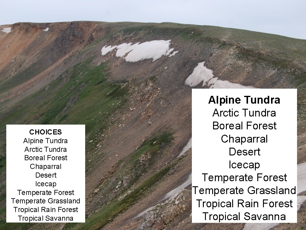 CHOICES Alpine Tundra Arctic Tundra Boreal Forest Chaparral Desert Icecap Temperate Forest Temperate Grassland