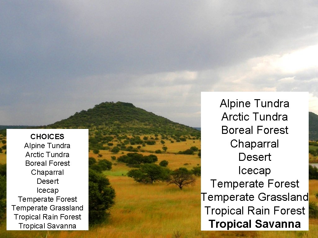 CHOICES Alpine Tundra Arctic Tundra Boreal Forest Chaparral Desert Icecap Temperate Forest Temperate Grassland