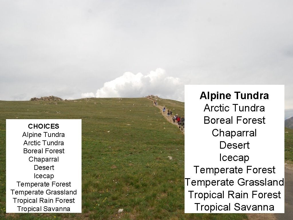 CHOICES Alpine Tundra Arctic Tundra Boreal Forest Chaparral Desert Icecap Temperate Forest Temperate Grassland