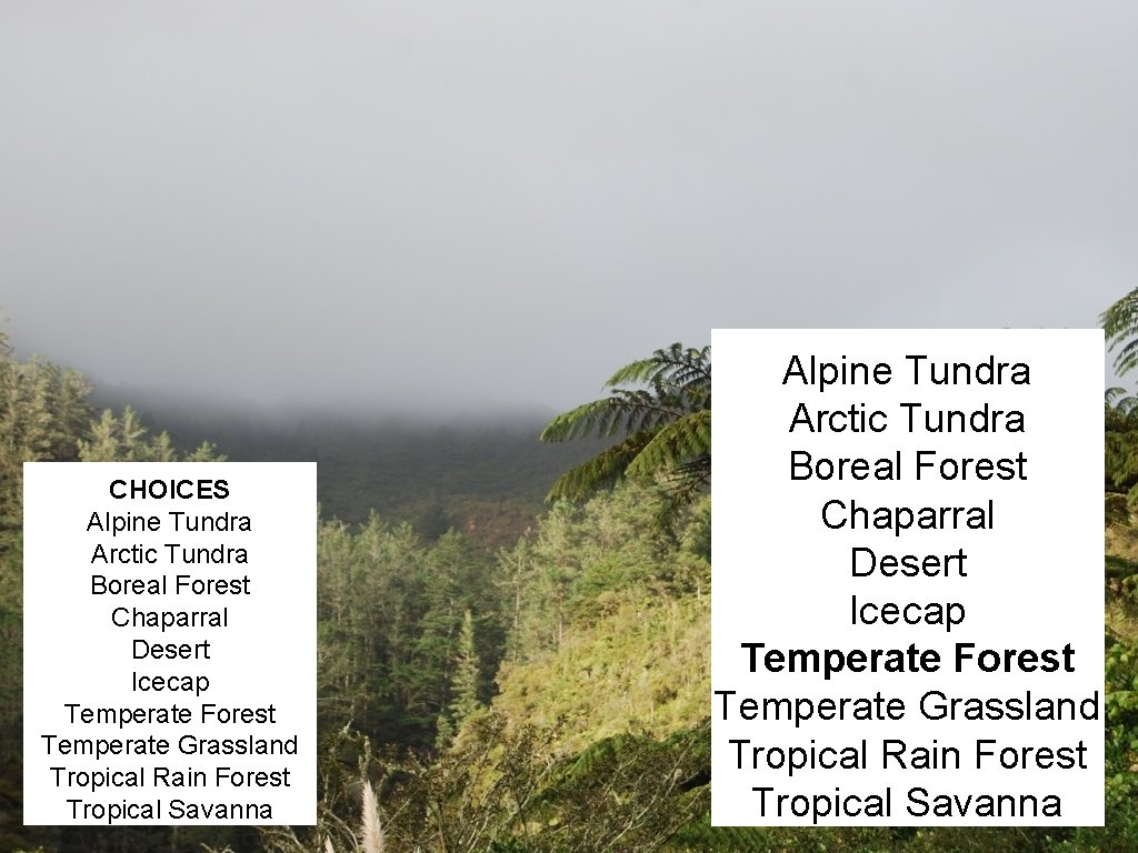 CHOICES Alpine Tundra Arctic Tundra Boreal Forest Chaparral Desert Icecap Temperate Forest Temperate Grassland