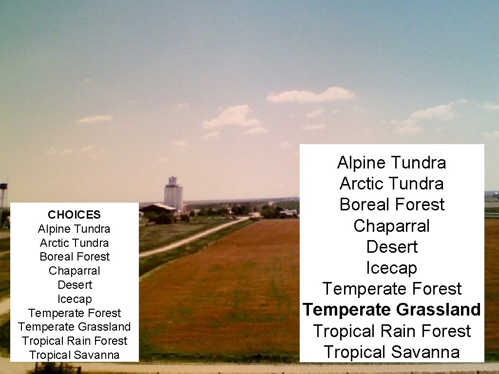 CHOICES Alpine Tundra Arctic Tundra Boreal Forest Chaparral Desert Icecap Temperate Forest Temperate Grassland