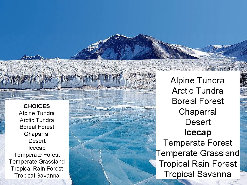 CHOICES Alpine Tundra Arctic Tundra Boreal Forest Chaparral Desert Icecap Temperate Forest Temperate Grassland