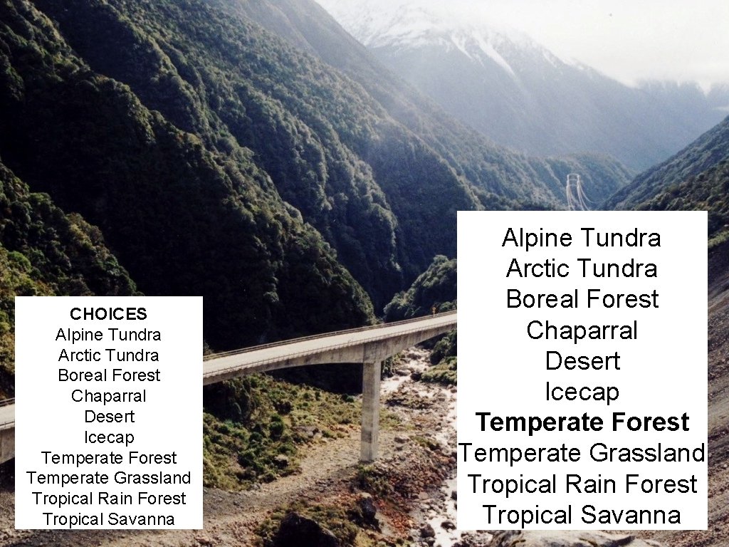 CHOICES Alpine Tundra Arctic Tundra Boreal Forest Chaparral Desert Icecap Temperate Forest Temperate Grassland