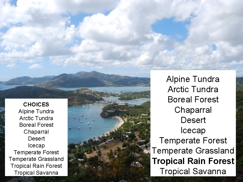 CHOICES Alpine Tundra Arctic Tundra Boreal Forest Chaparral Desert Icecap Temperate Forest Temperate Grassland