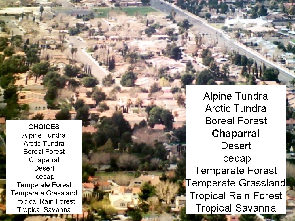 CHOICES Alpine Tundra Arctic Tundra Boreal Forest Chaparral Desert Icecap Temperate Forest Temperate Grassland
