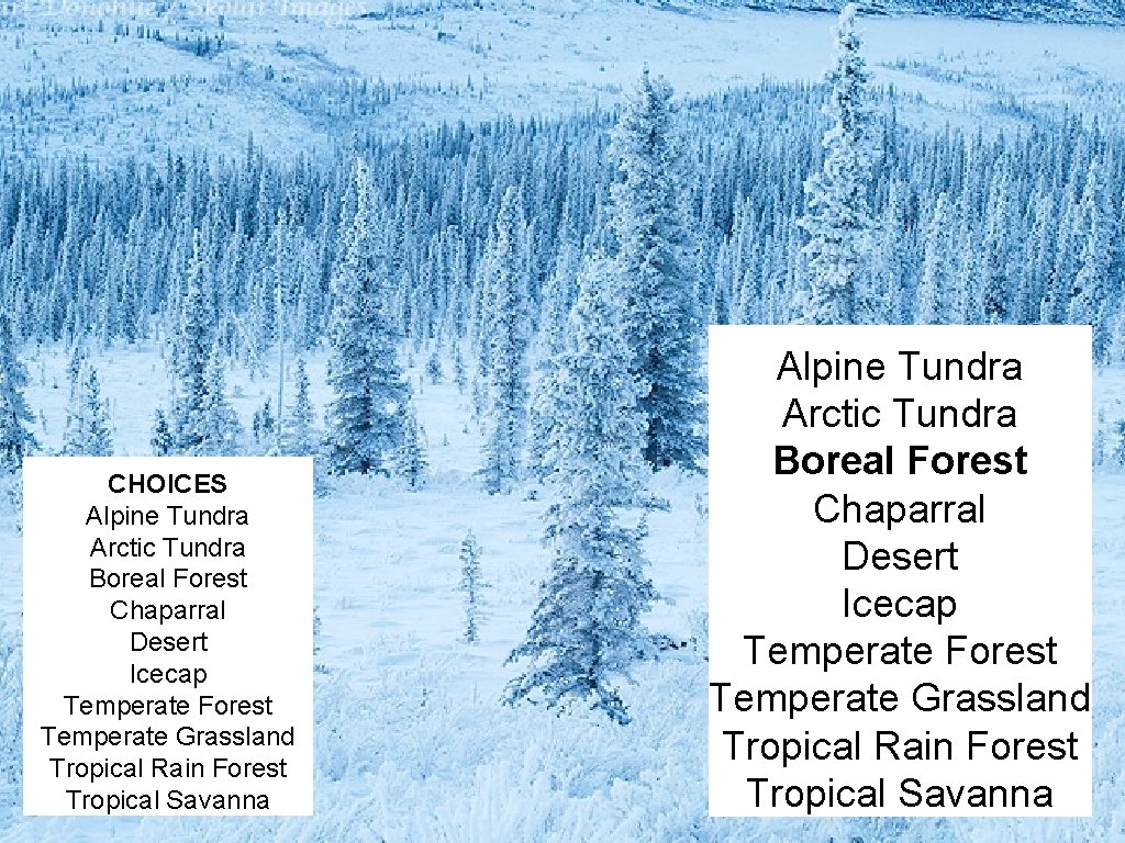 CHOICES Alpine Tundra Arctic Tundra Boreal Forest Chaparral Desert Icecap Temperate Forest Temperate Grassland