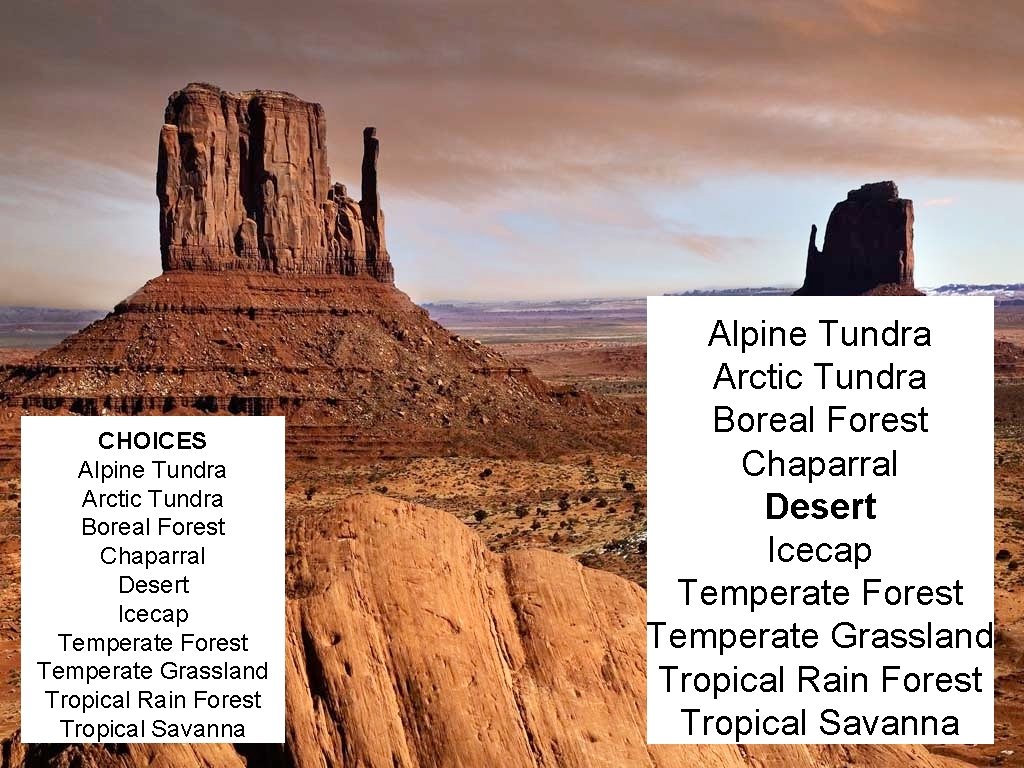CHOICES Alpine Tundra Arctic Tundra Boreal Forest Chaparral Desert Icecap Temperate Forest Temperate Grassland