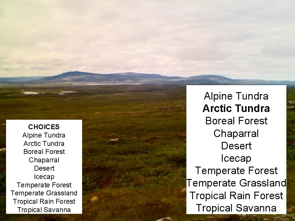 CHOICES Alpine Tundra Arctic Tundra Boreal Forest Chaparral Desert Icecap Temperate Forest Temperate Grassland