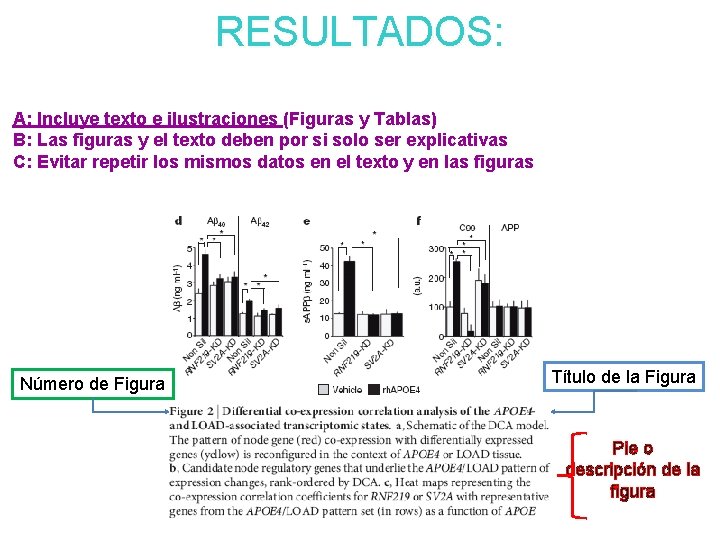 RESULTADOS: A: Incluye texto e ilustraciones (Figuras y Tablas) B: Las figuras y el