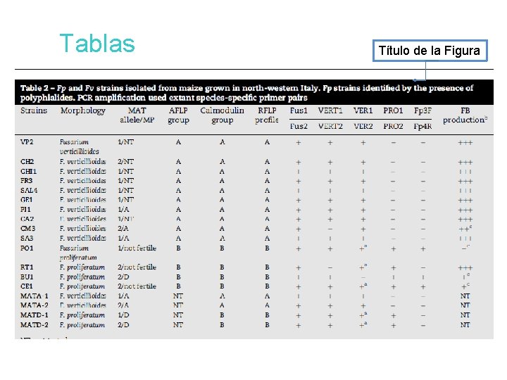 Tablas Título de la Figura 