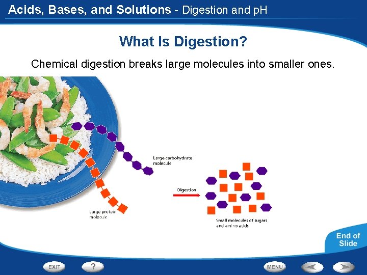 Acids, Bases, and Solutions - Digestion and p. H What Is Digestion? Chemical digestion