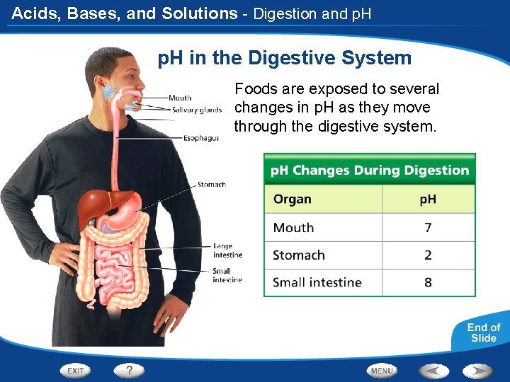 Acids, Bases, and Solutions - Digestion and p. H in the Digestive System Foods