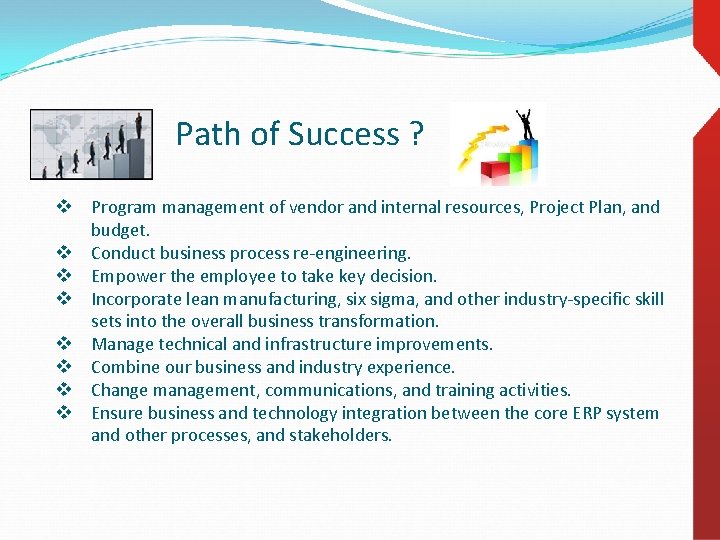 Path of Success ? v Program management of vendor and internal resources, Project Plan,