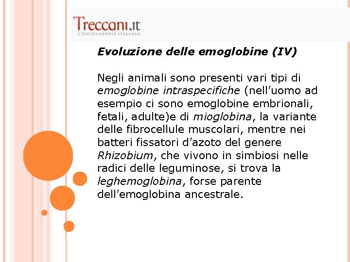 Evoluzione delle emoglobine (IV) Negli animali sono presenti vari tipi di emoglobine intraspecifiche (nell’uomo