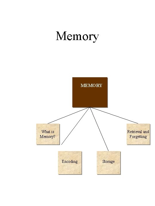 Memory MEMORY What is Memory? Retrieval and Forgetting Encoding Storage Memory MEMORY What is Memory? Retrieval and Forgetting Encoding Storage